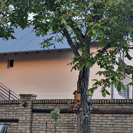 Ferienwohnung Sobe Ava Palić Exterior foto